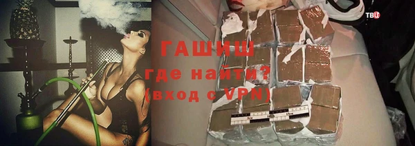 стаф Алзамай
