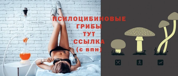 стаф Алзамай