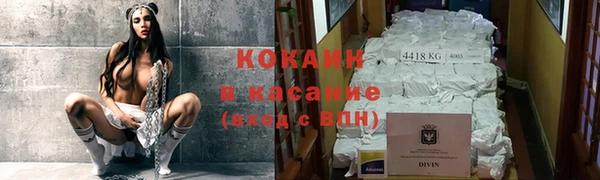 стаф Алзамай