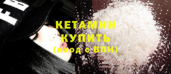 стаф Алзамай