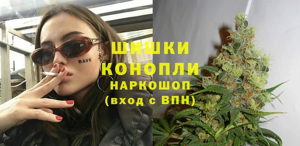 стаф Алзамай