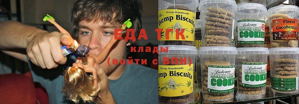 стаф Алзамай