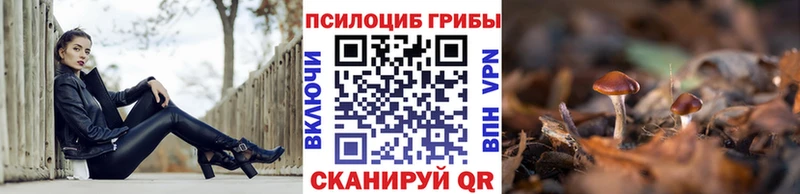 Галлюциногенные грибы мухоморы  сколько стоит  Анжеро-Судженск 